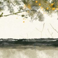 翡翠手镯经常看到两个裂缝十个宝藏