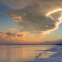 在蠕虫中出生的人民的八个字符命运如何