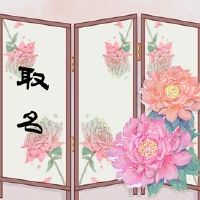 公司名称公司名称的名称是什么？