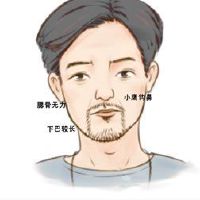 棕榈棕榈的三条主要棕榈线