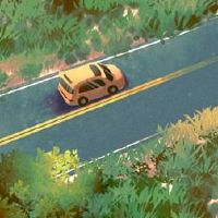 有许可证板888豹的人数是多少？