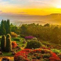 生命的特征和对深层女人的特征是什么？