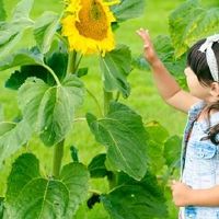 周易生辰八字起名网