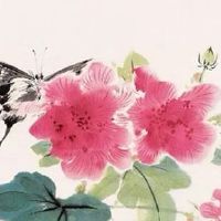 2022年虎年几月份出生宝宝命运最好 三月出生有福之人