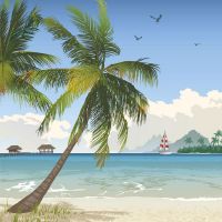 2019年3月21日，早上出生的男孩的名字是什么？