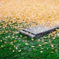 2022年，中国日历是中国日历的第三天。