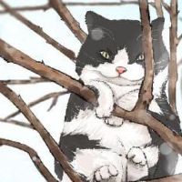 奇怪的猫跑房以为你为什么说你不温柔