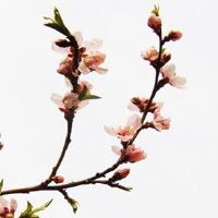 2022年农历六月三十这天搬家入宅好吗 当天黄历宜忌