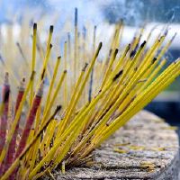 不同于当天和十天的日子日，具体的生活