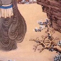 光照状况针对坟地风水的危害具体表现在哪里？