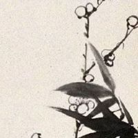 女人哪里长痣容易偷人 人中旁边有痣红杏出墙