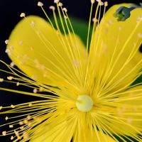 3大星座气质，是有吸引力的，和水瓶座