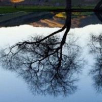 女性最幸福的哪个是最好的