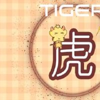 这是一只老虎，哪一年是十二生肖虎的诞生的决议。