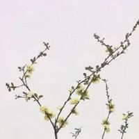 2022年五一劳动节假期领证的最佳好日子 最适合领证的时机推荐