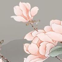 1975属兔发财电话号码 吉利数字与颜色盘点