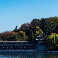 人性命运的个性