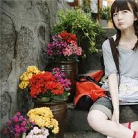 这些Contelors争吵不舒服