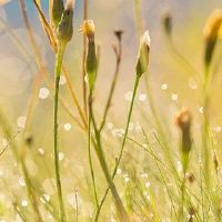 八字是什么尹杜阳的人？