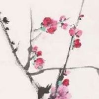 女人一般几两命最好 三两八上算好命