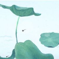 在夏天，有一些东西要注意夏天，注意中暑。