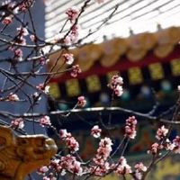 2022年属蛇人4月最吉利的数字和幸运色盘点  橘红色旺感情