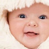  郑姓起名100分的名字