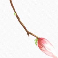 2022年属虎的在4月爱情运势好不好 婚姻关系需注意