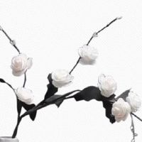 2022年4月生肖鸡爱情运怎么样 桃花运旺能与正缘吗