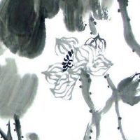 女人用什么号码最吉祥 走桃花运旺财手机号