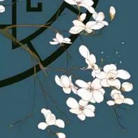 夫妻宫化忌入夫妻宫 夫妻宫化忌入十二宫