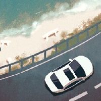 谁的车牌号码，吉利财富牌照号码的数量，五行分析