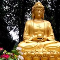 观音是什么样的日子？观音寨和迪扎海