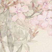 2022年4月25日出生女孩八字五行查询 左右逢源 待人友好