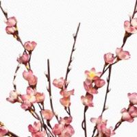 2022年五月份气温情况 5月天气开始热了吗