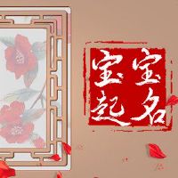 才华横溢的女孩名称文学名称文学