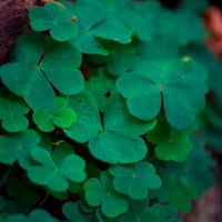 智商越高，你拥有三大星座越多，这座城市深深地