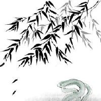 1989年蛇最好的年龄是什么？