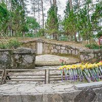 2022年7月28日的月历？这一天吗？