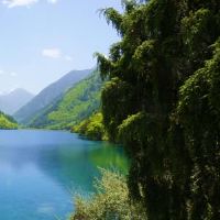 出生于2019年6月3日的女孩的名字是什么，五个元素是什么？