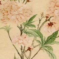 几月份虎宝宝命运最好2022 十一月出生事业有成