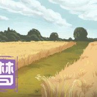 What is the dream of a spirituality?