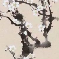 胎记是上辈子死亡留下的伤吗 通过胎记看命运