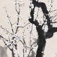 天界下凡的八字 神仙转世运气超级好