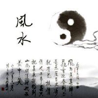 大号金蟾招财摆件客厅摆放位置 旺风水招财运