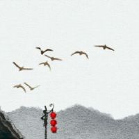 为什么午日日离爱