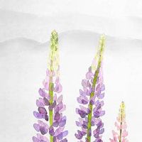 清明节上新坟有什么讲究 清明节上坟供品都需要摆什么