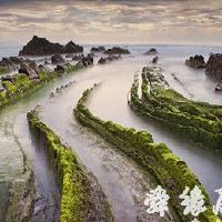 好听的贸易公司名字