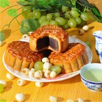 各种女巫巫婆一周星座（4.4-4.10）