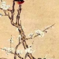 2022年5月10日出生的男宝宝命好吗 一生富贵 大器晚成